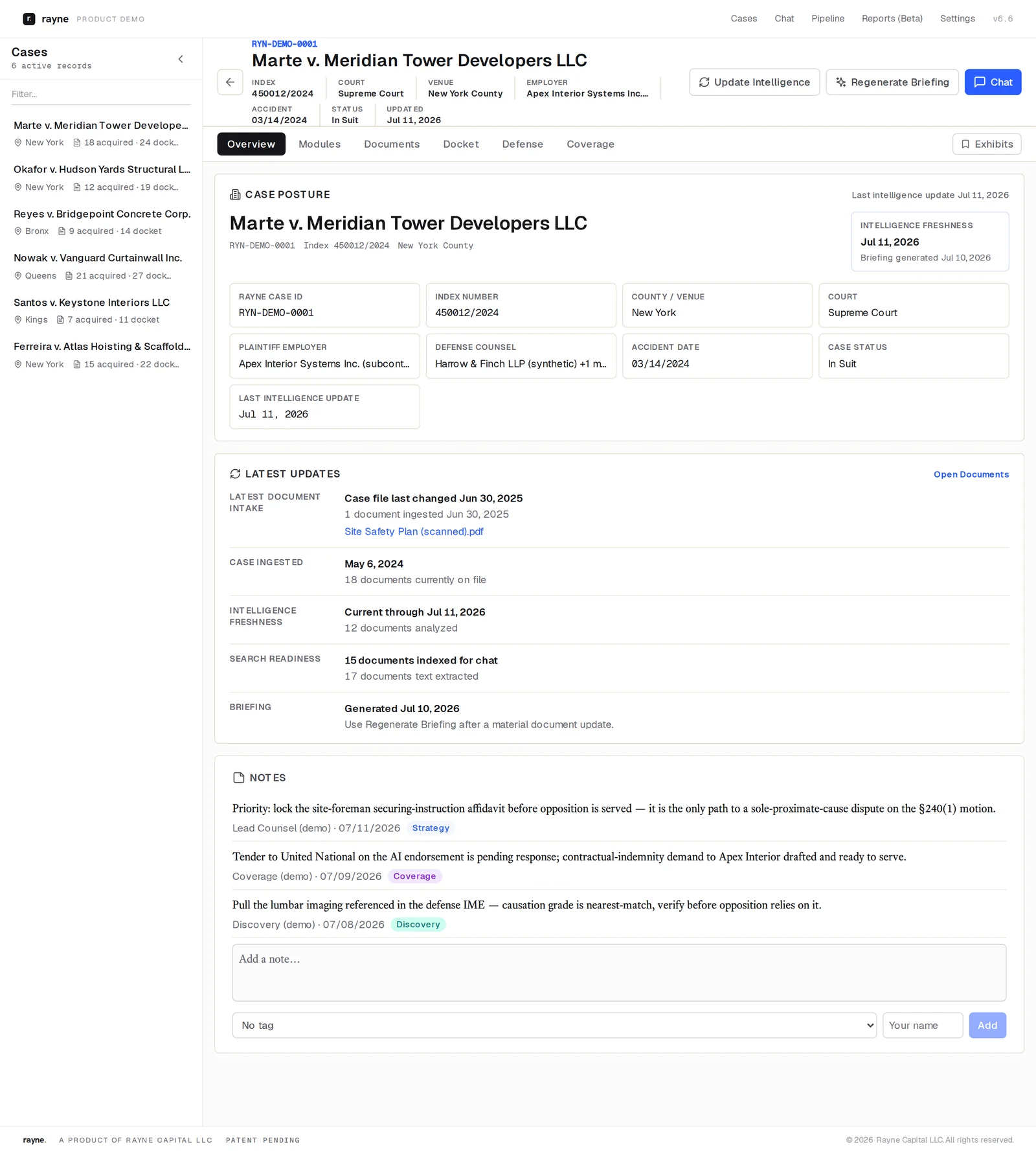 Rayne workspace, Overview tab: case posture with a structured metadata grid, latest-updates ledger, and matter notes. Synthetic demonstration matter.